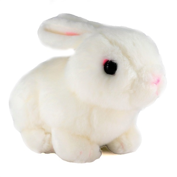 商品詳細ページ