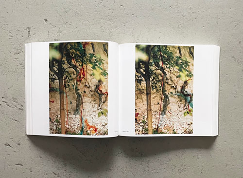 古書古本 Totodo: Wolfgang Tillmans: Abstract Pictures