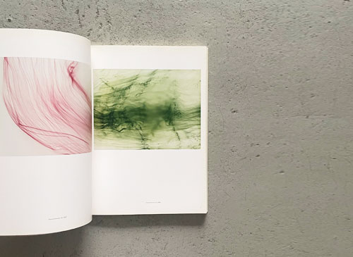 古書古本 Totodo：Wolfgang Tillmans: Freischwimmer（ヴォルフガング