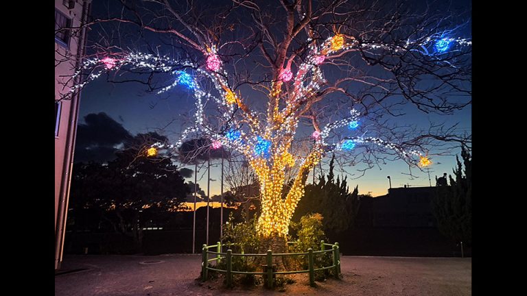 トライト株式会社