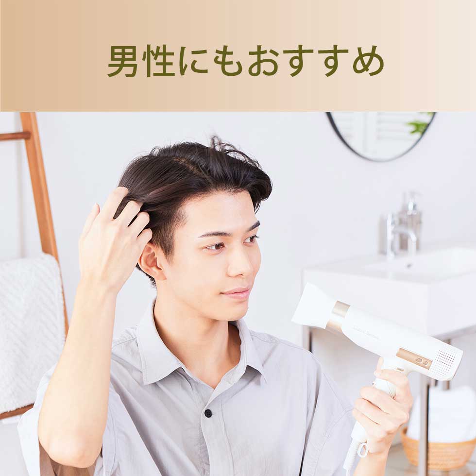 楽天市場】【ネット限定品】ハイスピード イオンバランスドライヤー