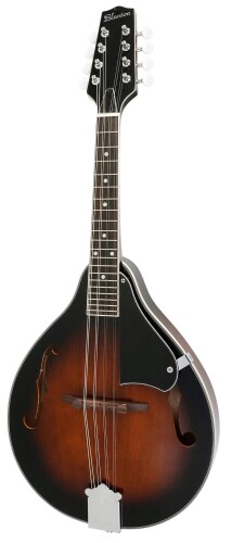 フラット マンドリン」の人気商品一覧 | 安い商品を通販サイトから探す