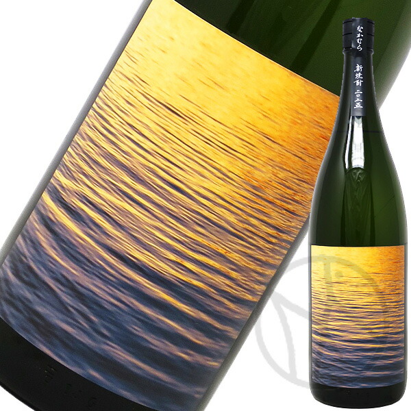 楽天市場】芋焼酎25° なかむら 新焼酎 2025 1800ml : 増田屋本店