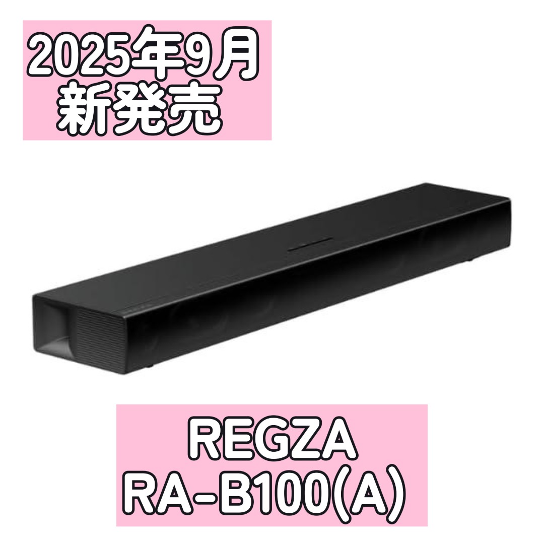 RA-B100(A)」の人気商品一覧 | 安い商品を通販サイトから探す - 価格.com
