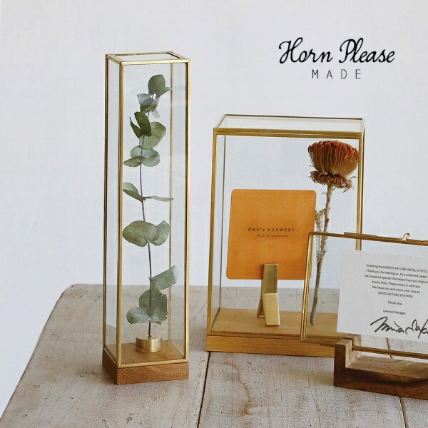 楽天市場】ブラスフレーム ガラスケース ディスプレイボックス トール