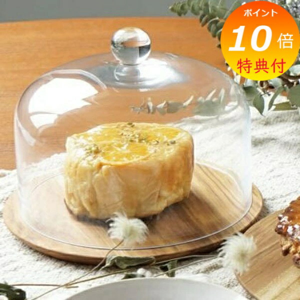 楽天市場】【特典付き】 ガラスドーム ディスプレイドーム ガラス