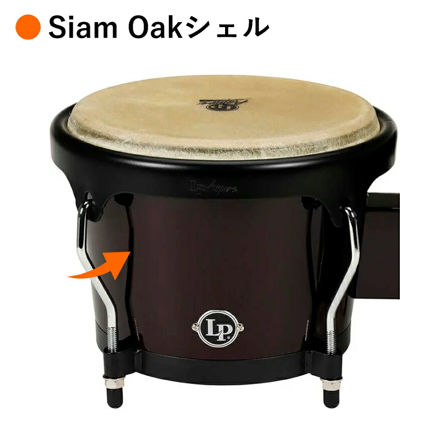 mondo♥ LP Aspire ボンゴ ダークウッド 美品 mondo♥ LP Aspire