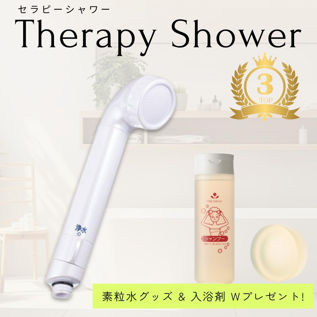 楽天市場】＼楽天3位受賞／【期間限定ポイント10倍☆】2つのプレゼント