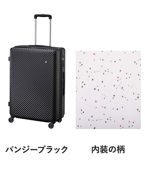 楽天市場】HaNT マイン 75L ACE エース TSロック 4輪 キャスター