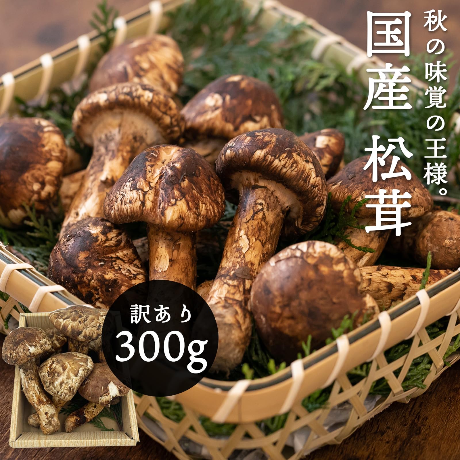 楽天市場】【5％OFFクーポン】国産 松茸 訳あり 家庭用 100g 200g 300g