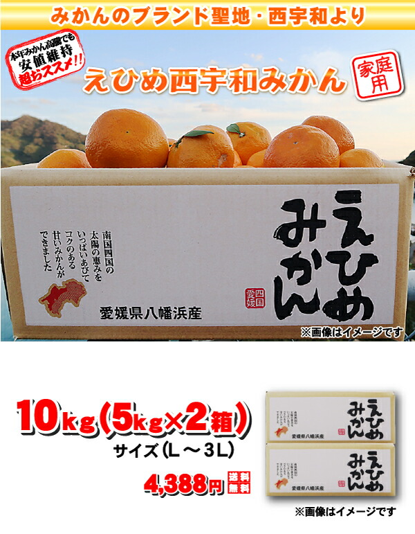 楽天市場】割引クーポン付 えひめ西宇和みかん 10kg（5kgx2箱