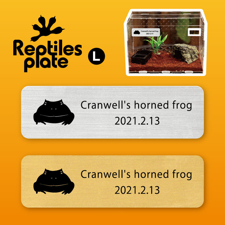 楽天市場】レプタイルズ プレート L 【 クランウェルツノガエル