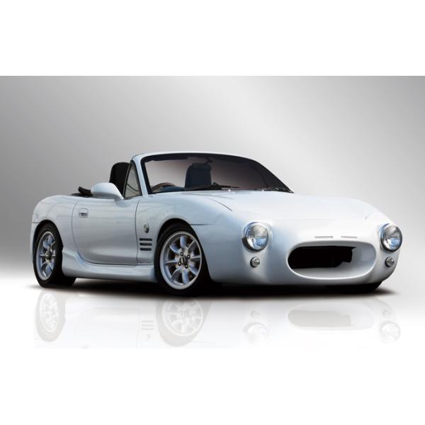 楽天市場】【S2レーシング】NB ロードスター【CodeName-F】コード