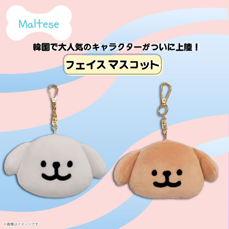 楽天市場】Maltese フェイスマスコット【全2種】マルチーズ(モルチーズ