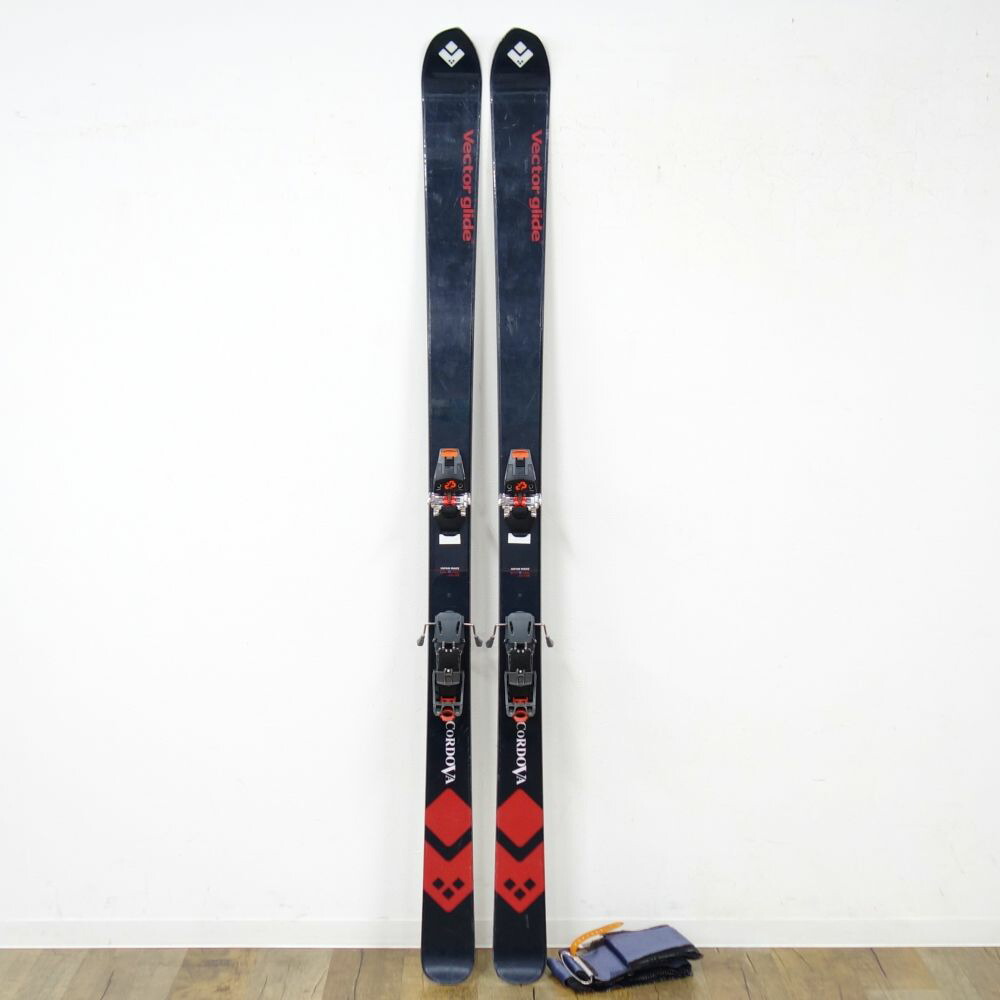 楽天市場】G3 ビンディングの通販