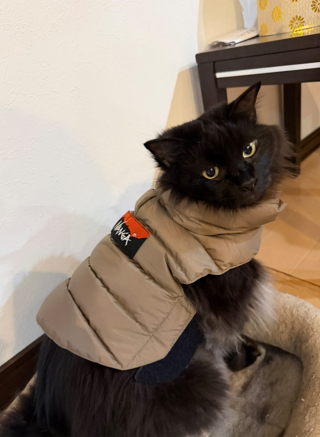 楽天市場】【ランキング1位】【返品交換送料無料】NANGA（ナンガ）DOG