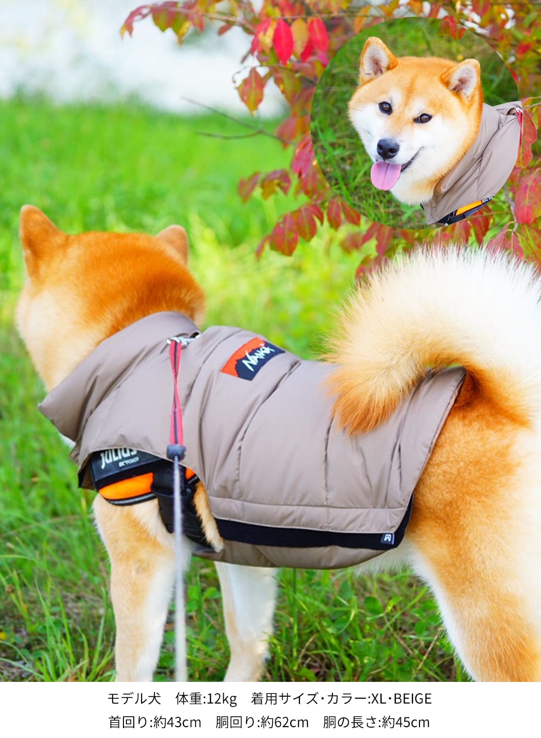 楽天市場】【ランキング1位】【返品交換送料無料】NANGA（ナンガ）DOG