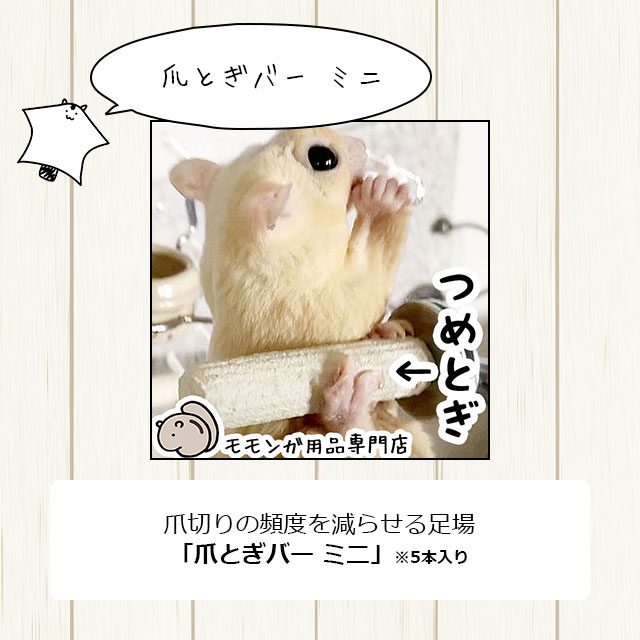 楽天市場】フクロモモンガの飼育初心者セット01 基本の飼育用品セット