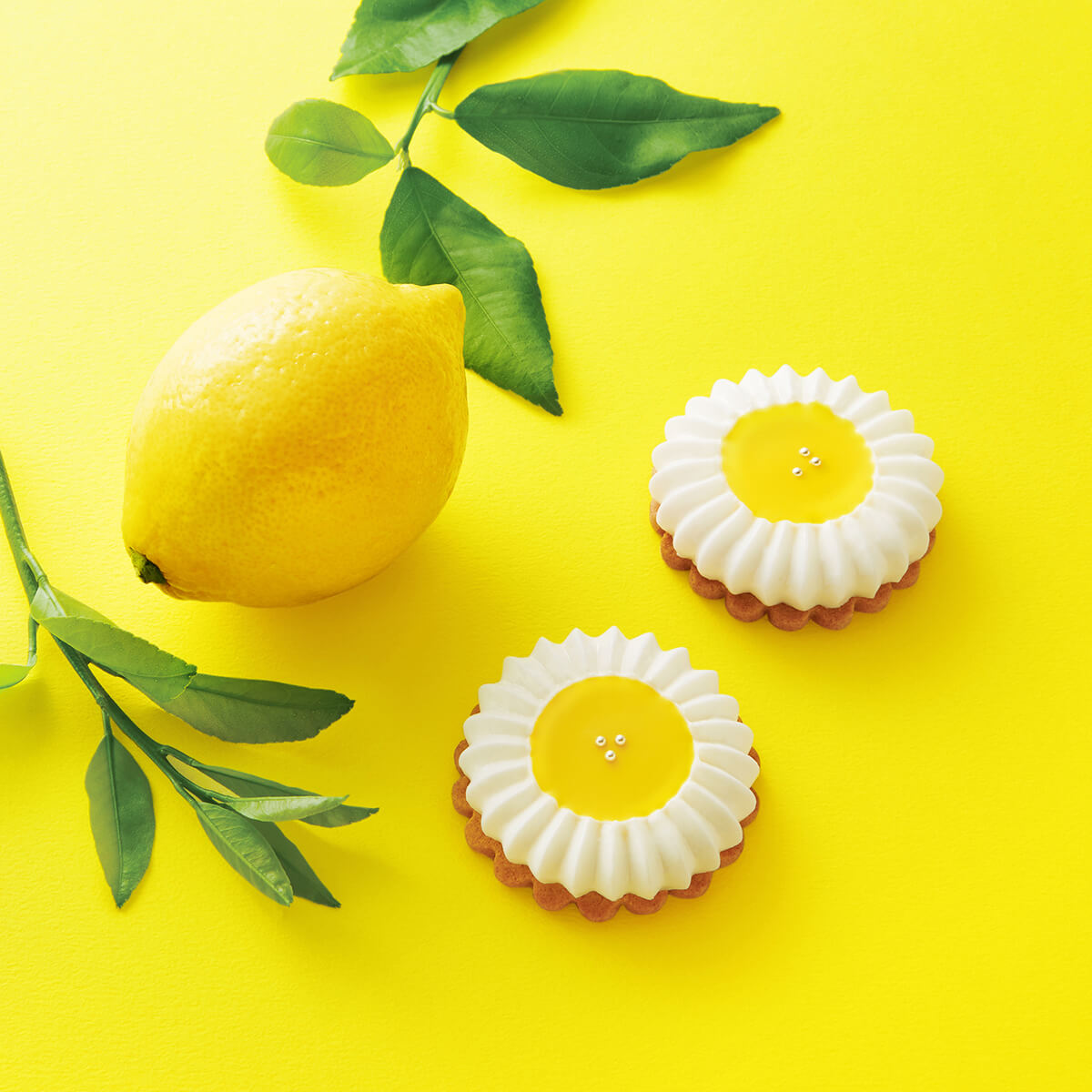 楽天市場】モロゾフ 夢見るキツネのレモンフラワー 3個入期間限定