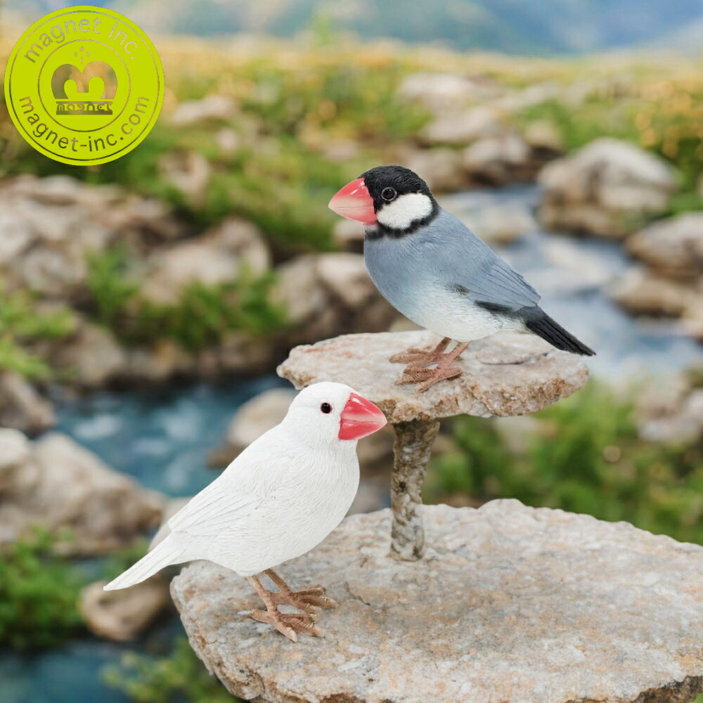 楽天市場】【特典付】〔ポイント2倍〕( リアルな文鳥のオブジェ 白文鳥