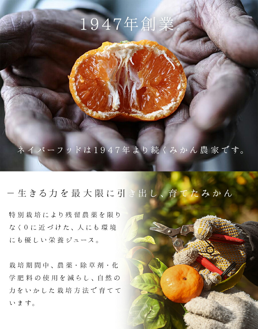 楽天市場】【スーパーSALE 半額】国産 みかんジュース オレンジ