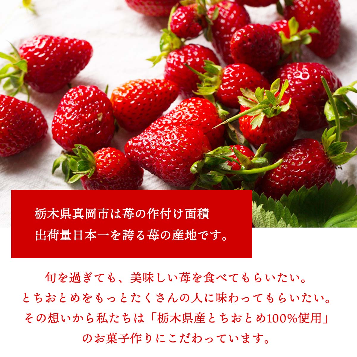 楽天市場】[静風] いちご砂糖 初恋糖 80g×2個セット いちご王国