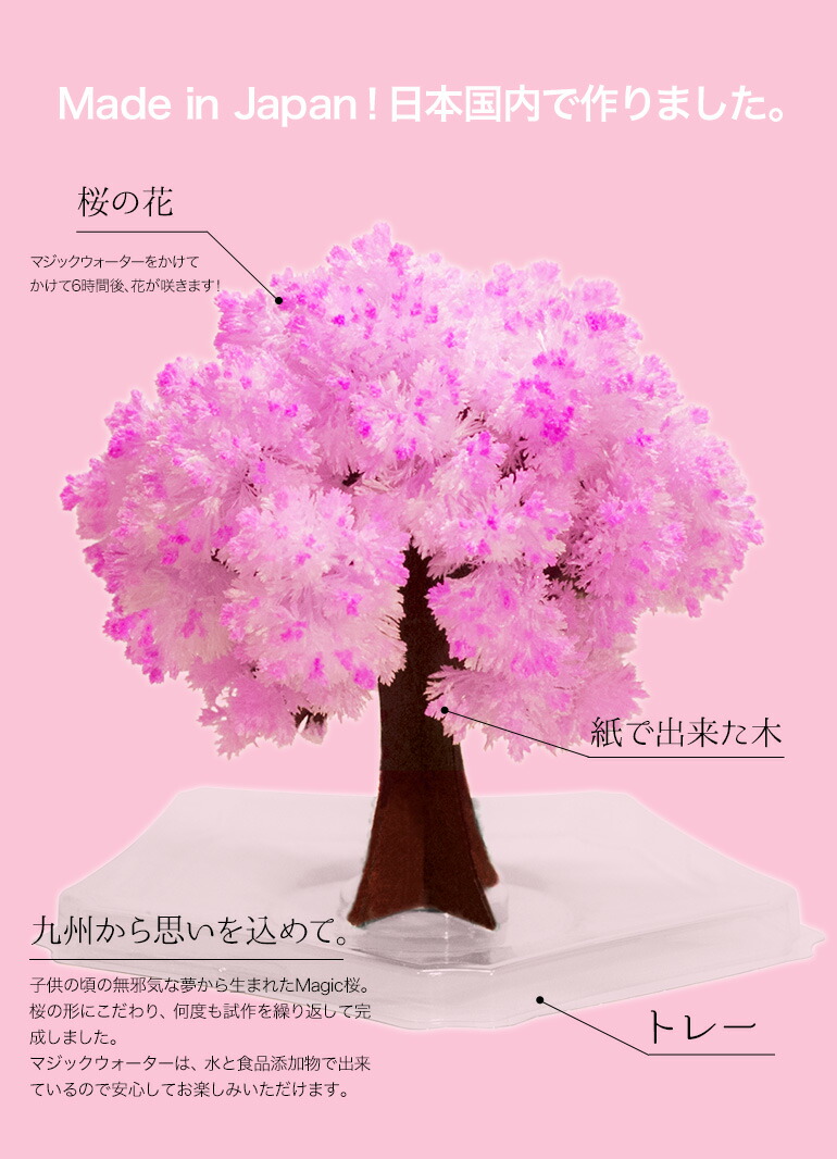楽天市場】【メール便】 マジック桜 Magic桜ミニ 木花咲耶姫ver. 6時間