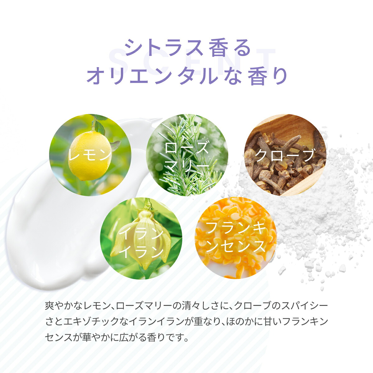 楽天市場】【楽天スーパーSALE 10%OFF】H2 ONEST オネスト ホームケア