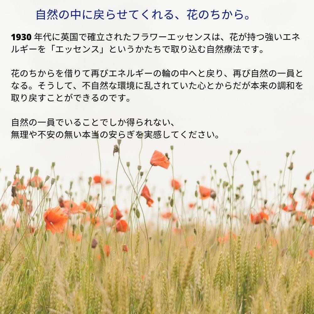 楽天市場】ベネディクションフォルテ FESフラワーエッセンス