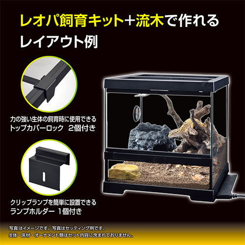 楽天市場】ジェックス レオパ飼育キット GTP3030 爬虫類 ヒョウモン
