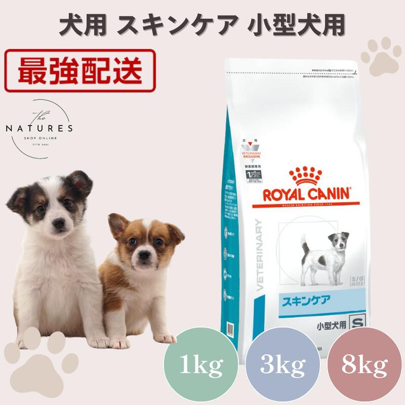 楽天市場】ロイヤルカナン 犬用 スキンケア 小型犬用s 3kgの通販