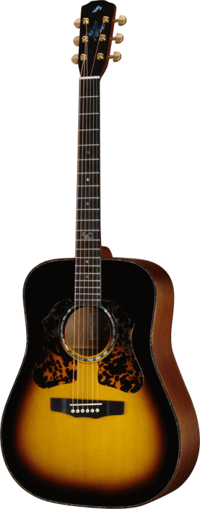 楽天市場】プレゼント付き！Morrisモーリス/アコースティックギター