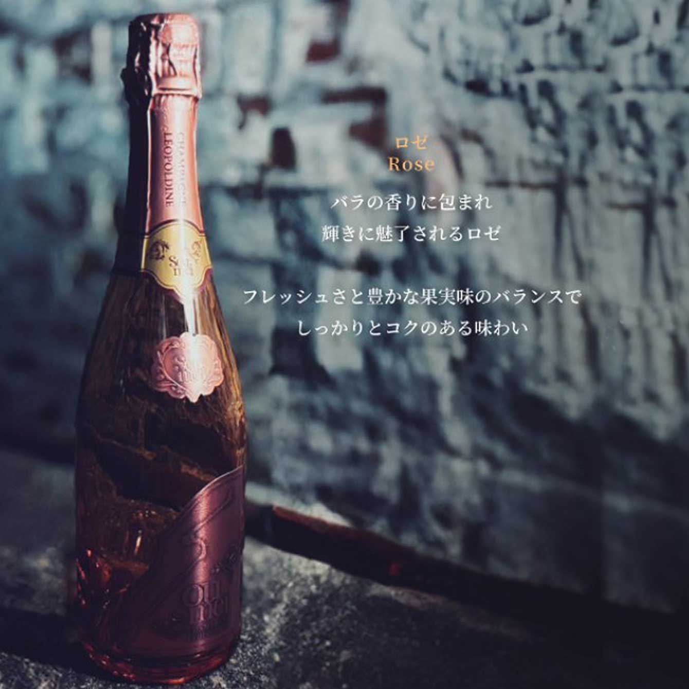 楽天市場】＊楽天ランキング受賞＊ ＜正規品＞ソウメイ アタッシュ6本