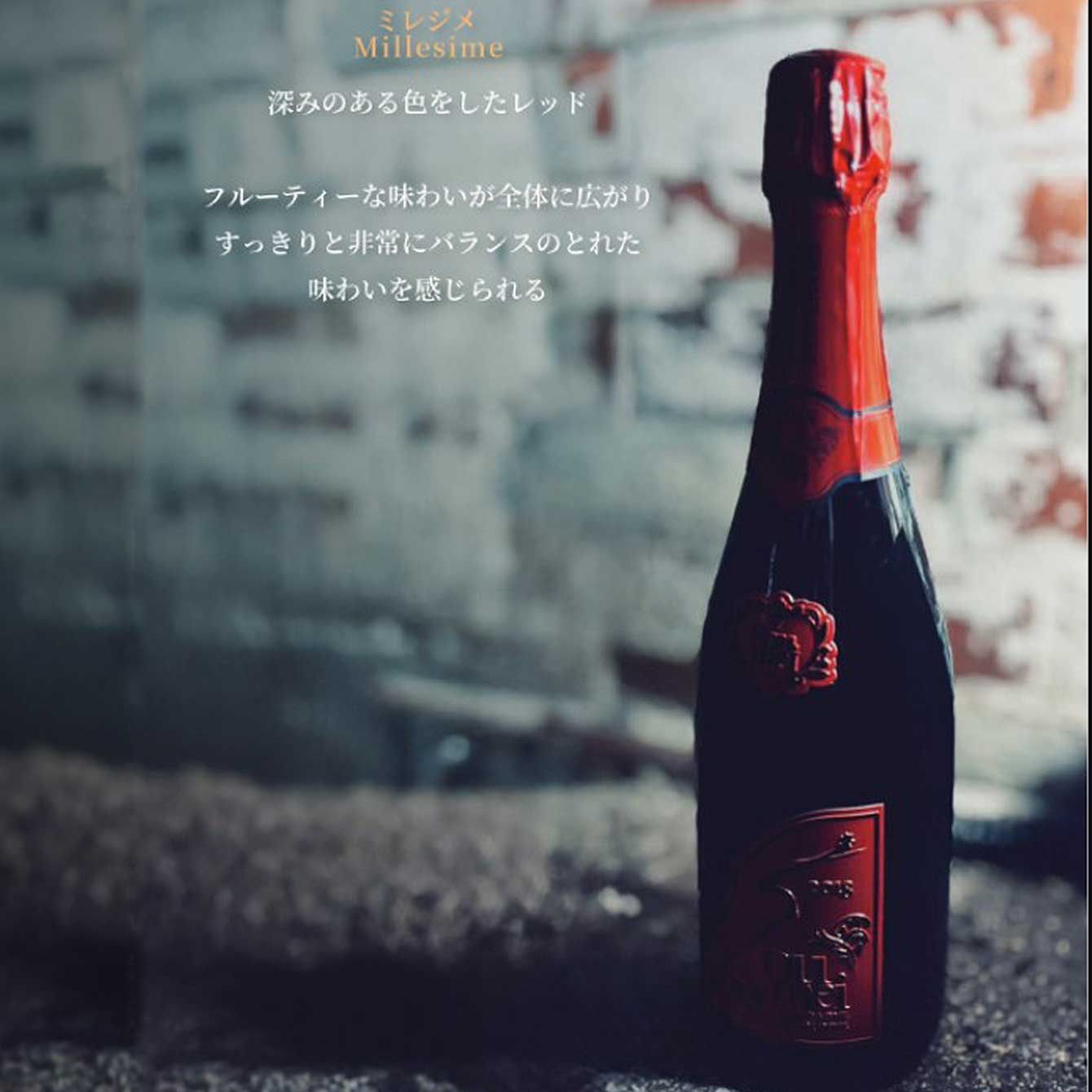 楽天市場】＊楽天ランキング受賞＊ ＜正規品＞ソウメイ アタッシュ6本