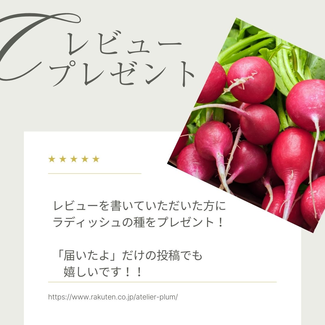 楽天市場】ニンジン 種 アロマレッド 【コート 約2000粒】 トーホク 種