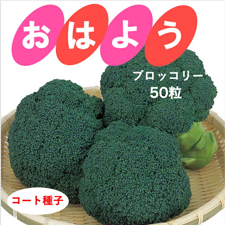 未開封 SK9-099 ブロッコリー コート種子 5000粒 ペレット サカタ SK9
