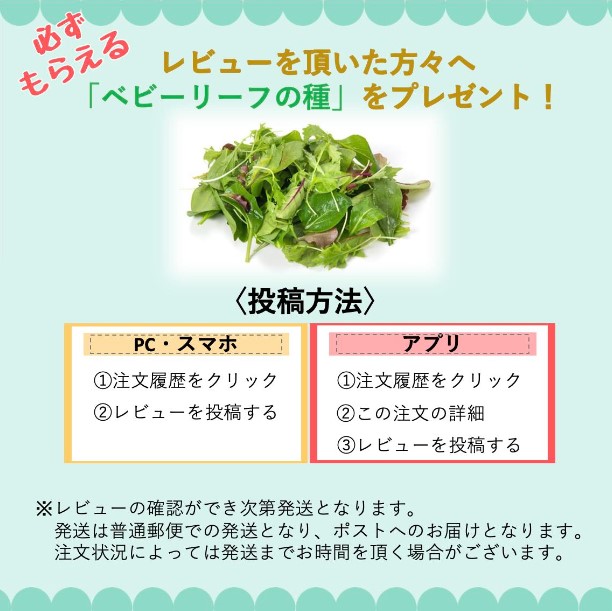 楽天市場】ニンジン 種 向陽二号 コート 10000粒 野菜 プロ向け 家庭