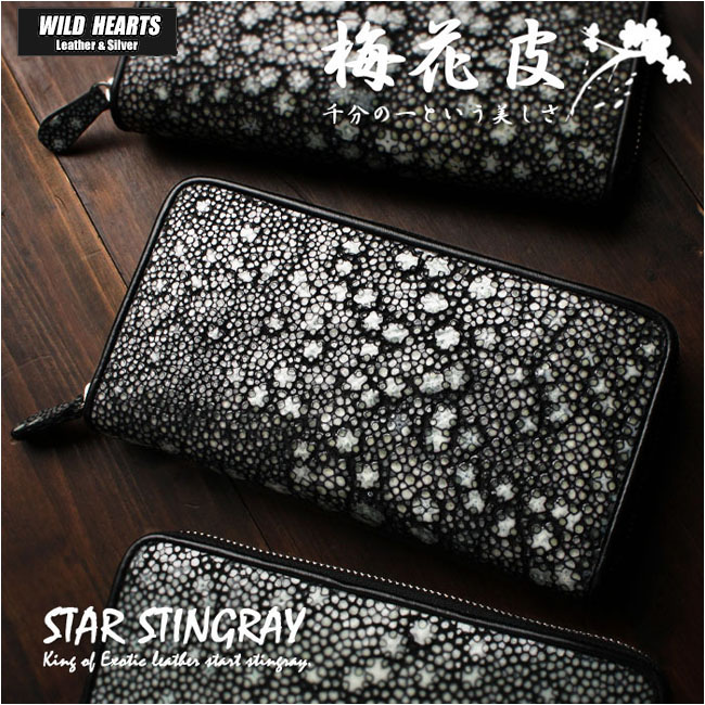 楽天市場】スティングレイ／エイ革 スタースティングレイ ガルーシャ