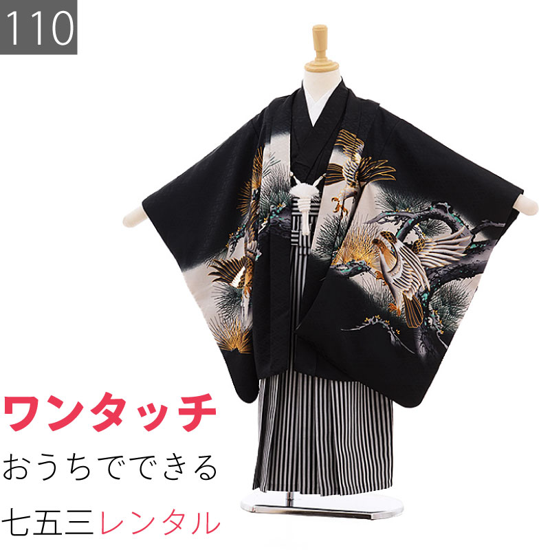 楽天市場】【レンタル】七五三 5歳 男の子 レンタル 簡単 着付け