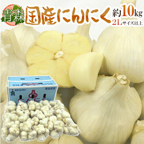 にんにく 10kg」の人気商品一覧 | 安い商品を通販サイトから探す