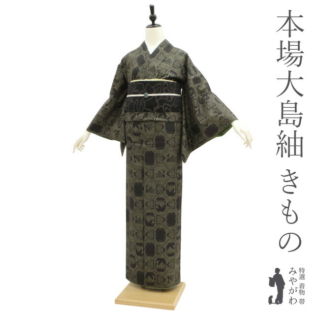 値下げ 】 未使用品 オシャレな水玉柄 本場泥大島紬 着物スキ倶楽部