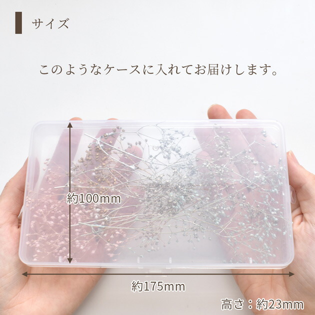 楽天市場】ドライフラワー 大地農園 アソート セット 全5種類 ケース付