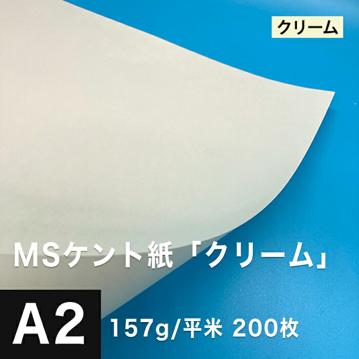 楽天市場】《SKU統合済》MSケント紙「クリーム」157g/平米 A2サイズ