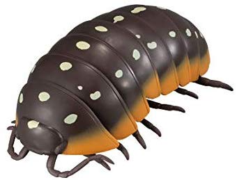 楽天市場】レア!【ダンゴムシ】だんごむし05 ○モンテネグロダンゴムシ