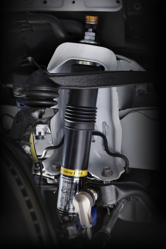 楽天市場】【3/4-11限定 全品ポイント5倍(エントリー要)】GENB(玄武