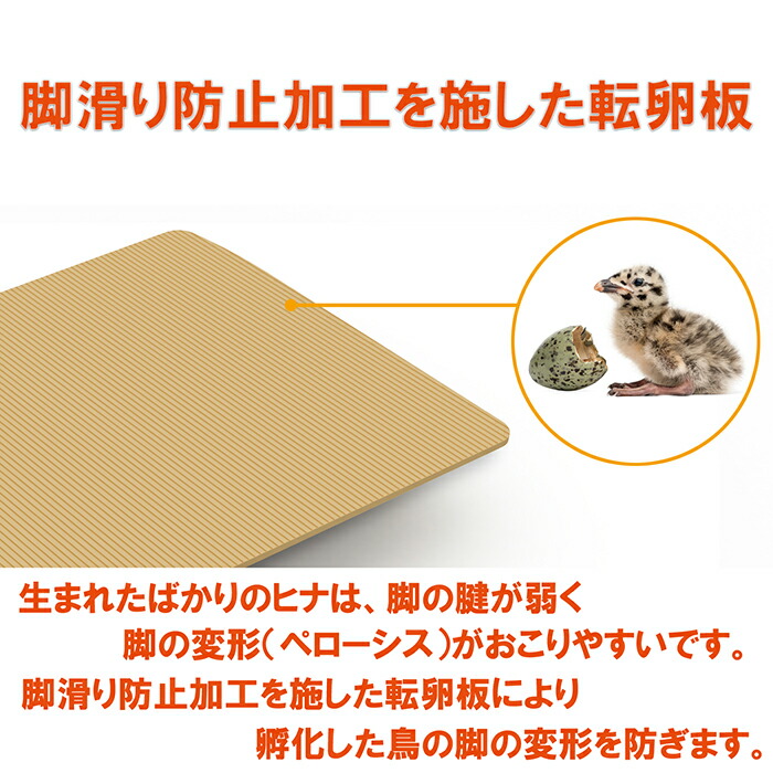 楽天市場】ビッグママ20DO 全自動孵卵器(ふ卵器・ふ化器) : eバード