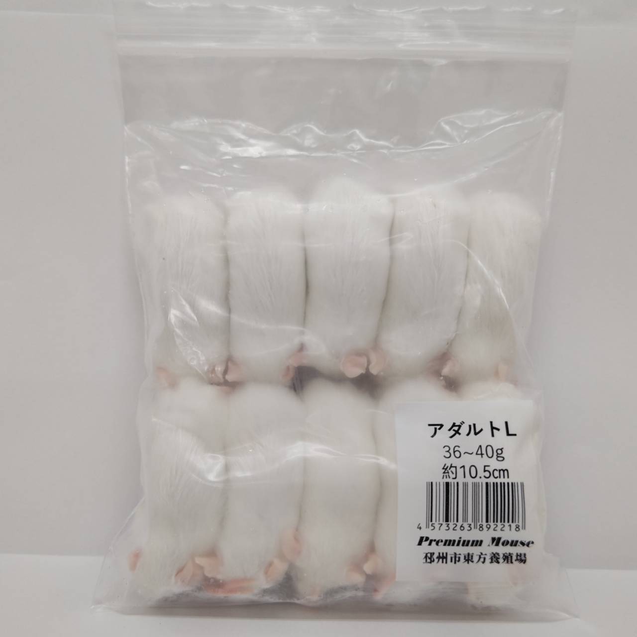 楽天市場】冷凍マウスの通販