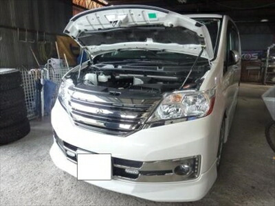 楽天市場】サティスファクション セレナ チャンバーの通販