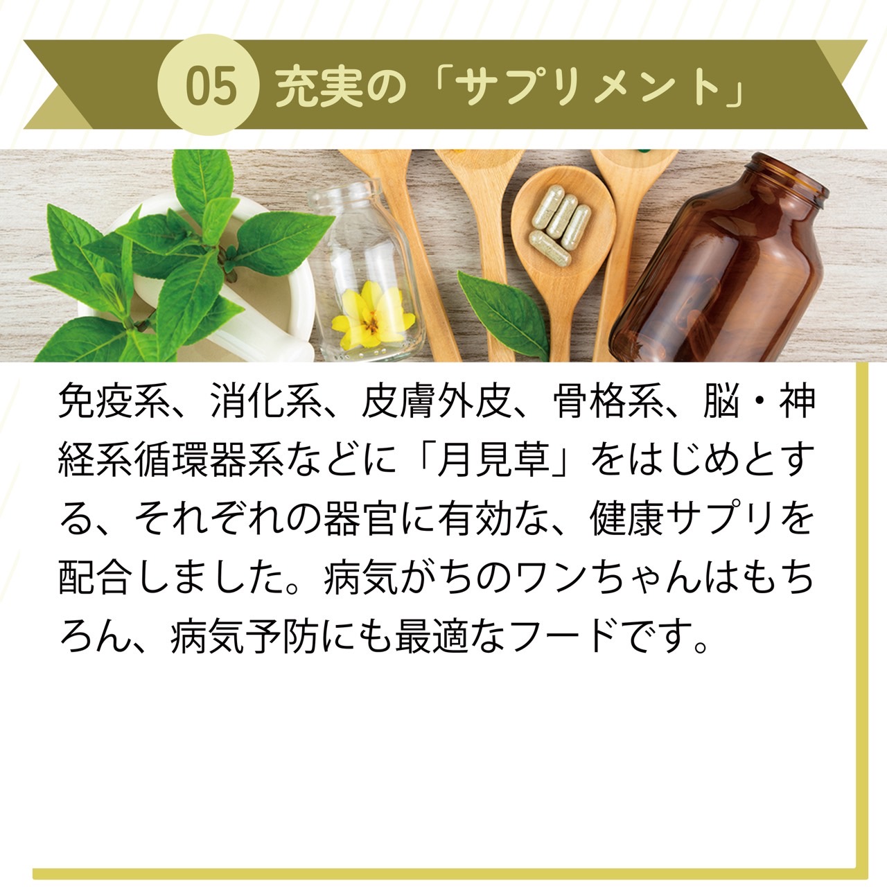 楽天市場】AZ アゼットドッグフード アダルト(成犬用) 10kg ブリーダー