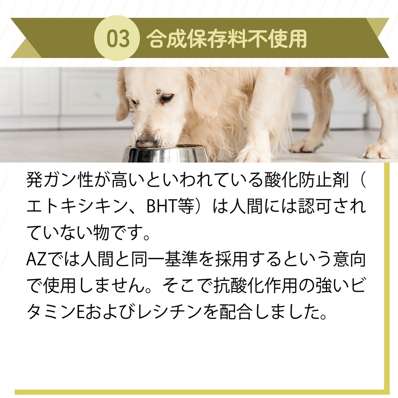 楽天市場】AZ アゼットドッグフード アダルト(成犬用) 10kg ブリーダー